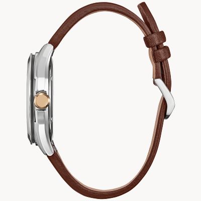 Mickey Mouse Explorer