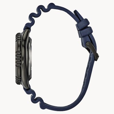 Promaster Dive Automatic