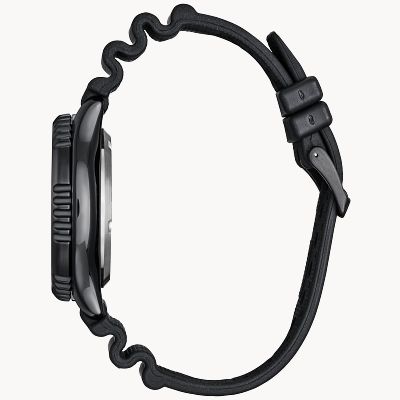 Promaster Dive Automatic